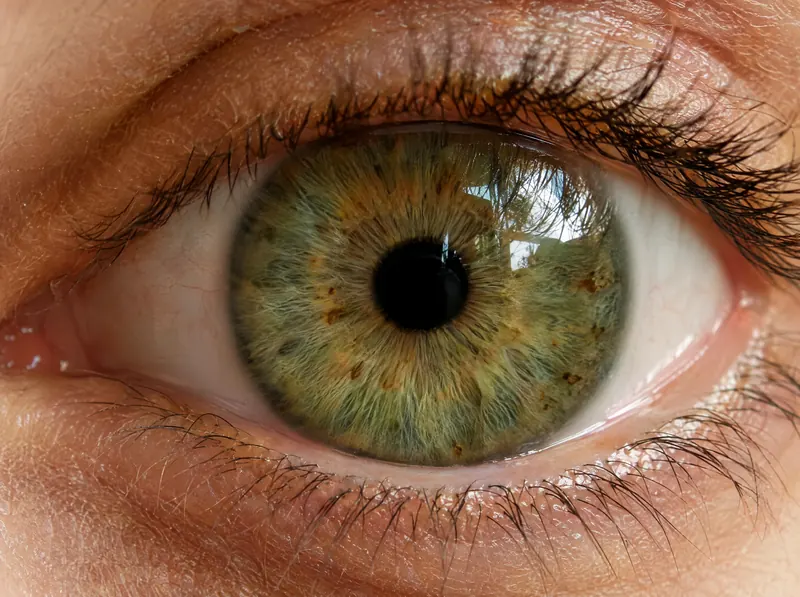 Macro photo of a hazel-green iris